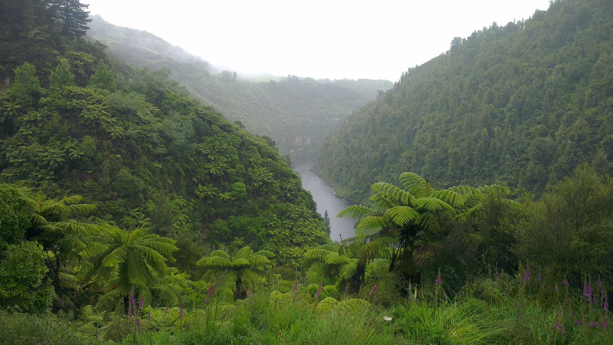 te-awa-tupua-voices-from-the-river-new-zealand-international-film